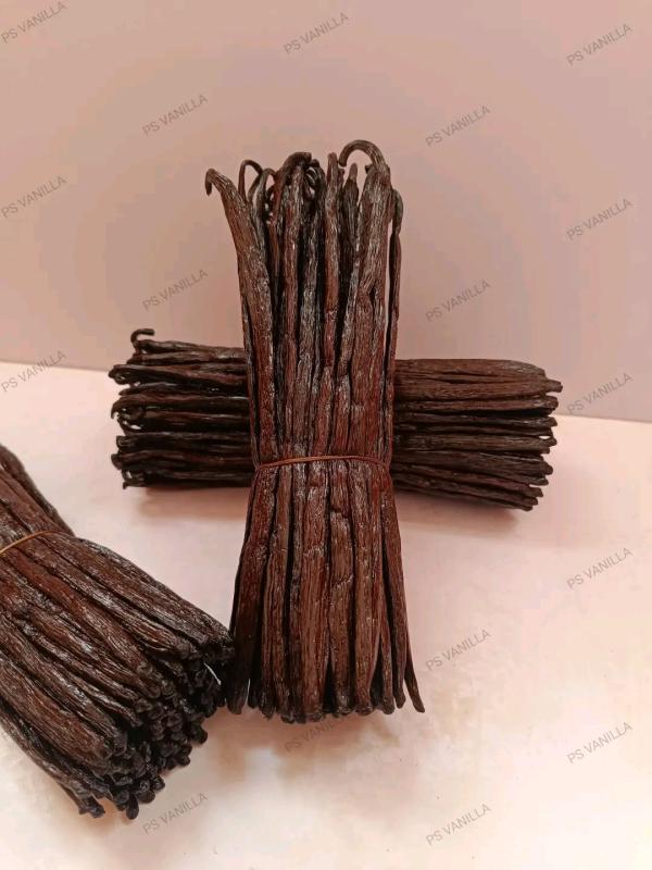  Vanille Bourbon Madagascar Grade Gousses - fruits secs et graines grillées  je suis producteur et exportateur direct de vanille de la r&eacute;gion sava &agrave; madagascar. je propose une vanille bourbon de qualit&eacute; sup&eacute;rieure 100% naturelle et riche en vanilline. ma gamme de produits vanille noire gourmet gousses non fendues 16 20cm 