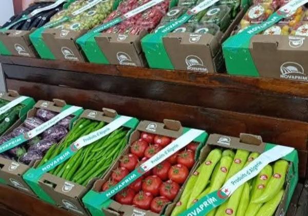  Huile D'olive,p.alimentaires,fruits Et Légume - autres nous cherchons des clients de nos produits huile d'olive extra vierge fruits produits alimentaires
