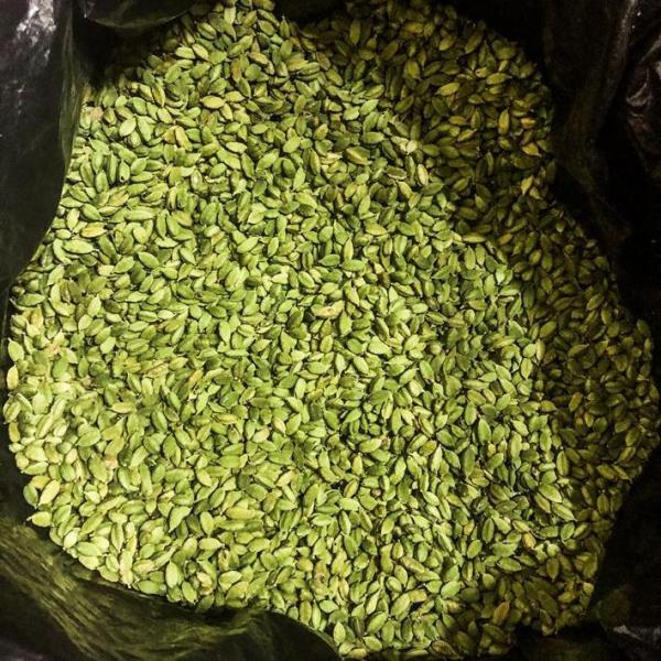  Green Cardamom For Sale - roasted seeds and nuts 1. specification(s) shape long oval shell strong tough & no white spots length 2 5cm round diameter 1.5 2.5cm moisture 13.5% max admixture 1% max color brown or dark brown seeds are agreeable aromatic & pungent well dried & no fungus