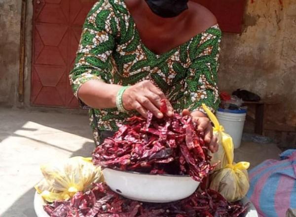  Piment Rouge - épices aromates exportateur de piments rouges – recherche acheteurs s&eacute;rieux nous recherchons des importateurs grossistes distributeurs et acheteurs en gros de piments rouges. disponibles  piments rouges teja piments rouges s&eacute;ch&eacute;s qualit&eacute; export sup&eacute;rieure grandes quantit&eacute;