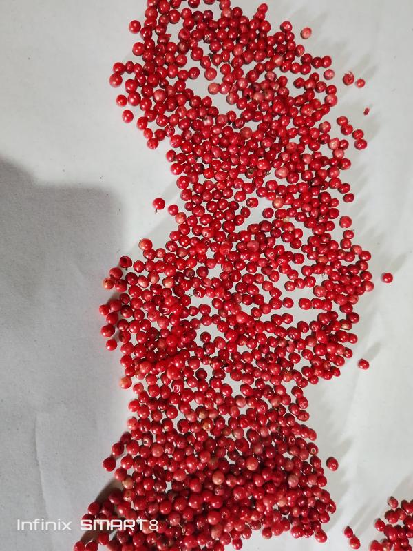  Baie Roses - autres nous sommes une entreprise agricole sise dans la c&ocirc;te est de madagascar et nous cherchons des clients pour nos baies roses qu'on produit dans nos champs 
