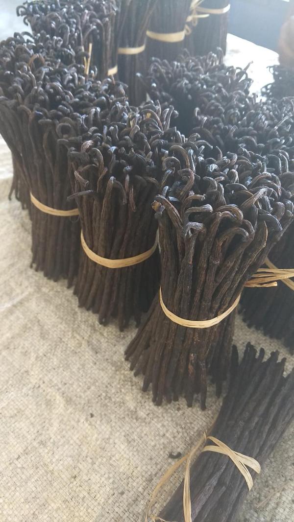 Madagascar Gourmet Grade (a) Vanilla Beans - aromatic spices we supply best quality gourmet grade a vanilla beans from madagascar with reasonable and fast delivery specification moisture 30% 35% vanillin 1 6% 2 4% length 15cm 20cm shelf life 24 months free contact us via whatsapp text and call for more information or need sample to test or check 