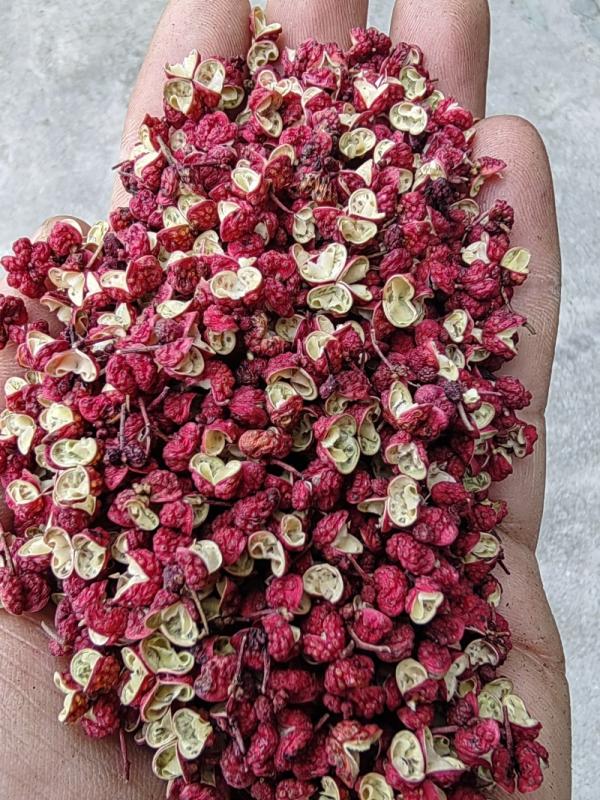  Poivre Du Sichuan Igp Direct Producteur - épices aromates nous sommes producteurs et exportateurs de poivre de sichuan rouge et vert issus des meilleures indications g&eacute;ographiques prot&eacute;g&eacute;es. poivre rouge esp&egrave;ce botanique zanthoxylum bungeanum igp r&eacute;f&eacute;rences maowen hanyuan (sichuan) poivre vert esp&