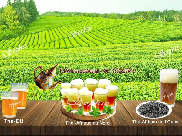  Fournir Les Thé Vert De Chine Tchad - café cacao thé nous sommes l'usine de th&eacute; vert en chine nous proposons plusieurs type de th&eacute; vert. nous voulons vendre notre th&eacute; dans la sous r&eacute;gions du tchad. quantite 1000 tonne par moi conditionnement sac/carton sur mesure infussion couleur ambre fonc&eacute; riche demo