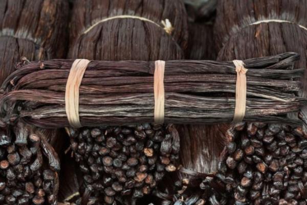  Madagascar Bourbon Vanilla Premium Export - aromatic spices ekl export offers madagascar bourbon vanilla for importers industrial buyers and distributors. available products gourmet vanilla tk vanilla black vanilla vanilla powder vanilla caviar and vanilla seeds. ✔ madagascar origin ✔ premium quality with full traceability ✔ year round availability ✔ fo