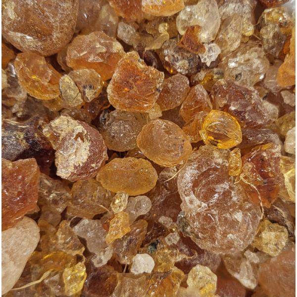  Recherche Clients Pour Gomme Arabique - fruits secs et graines grillées nous disposons de la gomme arabique de qualit&eacute; disponible au togo. recherche de clients s&eacute;rieux pour affaire. svp plaisantins s'abstenir.