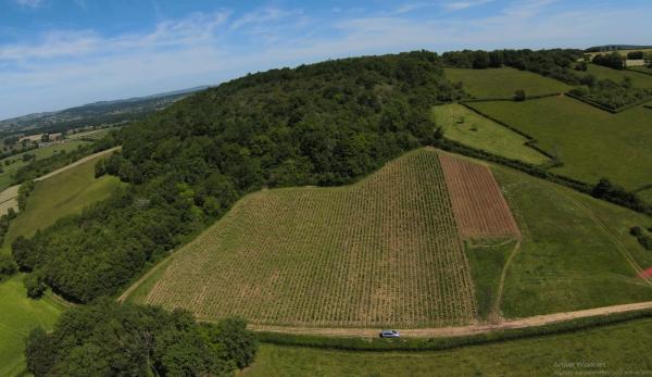  Raisin Bio Bourgogne-mâcon - vins je suis vigneron dans le clunysois sur les appellations m&acirc;con rouge et blanc m&acirc;con village et bourgogne rouge. je travaille 4ha de vignes certifi&eacute;es bio depuis plus de 15 ans et je pratique la biodynamie. les vignes sont d&eacute;sherb&eacute;es m&eacute;caniquement avec un che