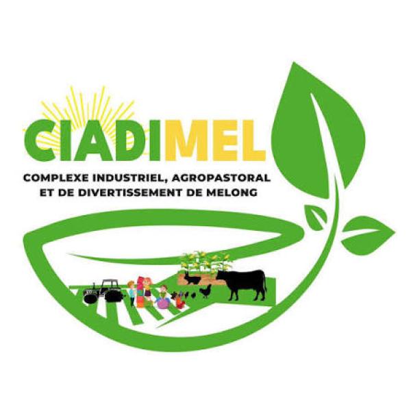  Recherche Partenaire Technique Et Financier - Investissement capitaux soci&eacute;t&eacute; de droit camerounais sp&eacute;cialis&eacute;e dans l'agro alimentaire. notre ambition est de promouvoir une agro industrie moderne durable et comp&eacute;titive fond&eacute;e sur l'innovation la qualit&eacute; et la cr&eacute;ation de valeur tout au long de la cha&icirc;ne 