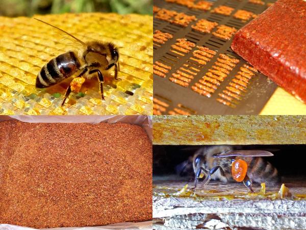  Vends Propolis - produits sucrés  je vends ma propolis de grille. origine hongrie. tracabilit&eacute; garantie. conditionnement en sac plastique et boite en carton. livraison possible. bien sur je peux envoyer des &eacute;chantillon bien volontiers. bien cordialement