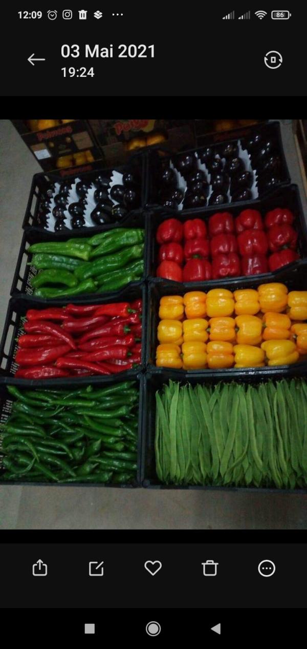  Fruits Et Légumes Du Maroc - fruits et légumes je cherche des clients pour exportation toute fruits et l&eacute;gumes du maroc. je suis pret &agrave; etudier tout ordre de commande. cordialement 