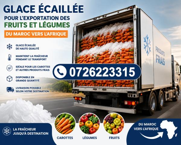  Glace Écaille Glace En Cubes Disponible - autres vous utilisez r&eacute;guli&egrave;rement de la glace pour conserver refroidir ou transporter vos produits ? nous mettons &agrave; votre disposition une glace de haute qualit&eacute; adapt&eacute;e &agrave; tous les secteurs d'activit&eacute;. nous recherchons des partenaires dans les domaines sui