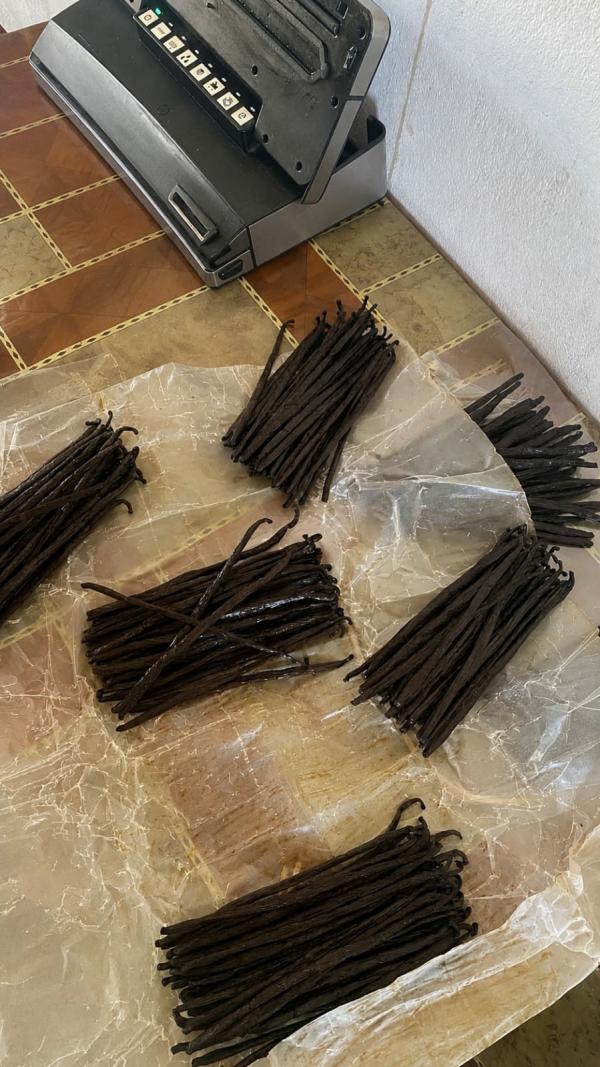  Vente Vanille Et Épices De Madagascar - épices aromates  nous sommes producteur et exportateurs de vanille girofle et cannelle bas&eacute; madagascar. nous vendons tous types de vanille de grade a au grade c noire gourmet noire tk rouge cuts et nous avons aussi des graines et des poudres de vanille de grade 1 au grade 3. nous pouvons vous