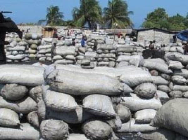  Charbon De Bois - bois charbon fibre  je suis actuellement situ&eacute; dans le nord du b&eacute;nin je vends des charbon de bois de tr&egrave;s bonnes qualit&eacute;s. toutes personnes int&eacute;ress&eacute;es veuillez bien vouloir me contacter pour n'importe quels nombres de commandes. 