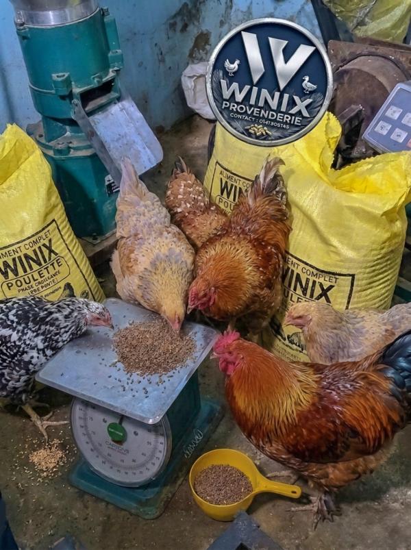  Provendes - aliments pour animaux usine de provenderie sp&eacute;cialis&eacute; dans la livraison en gros/d&eacute;tails des provendes ( volailles ) poussin d&eacute;marrage ( 0 &agrave; 7 jours ) poussin chair croissance ( 8 jours &agrave; 7 semaines ) poulette pre ponte ( 8 &agrave; 18 semaines ) pondeuses phase pon