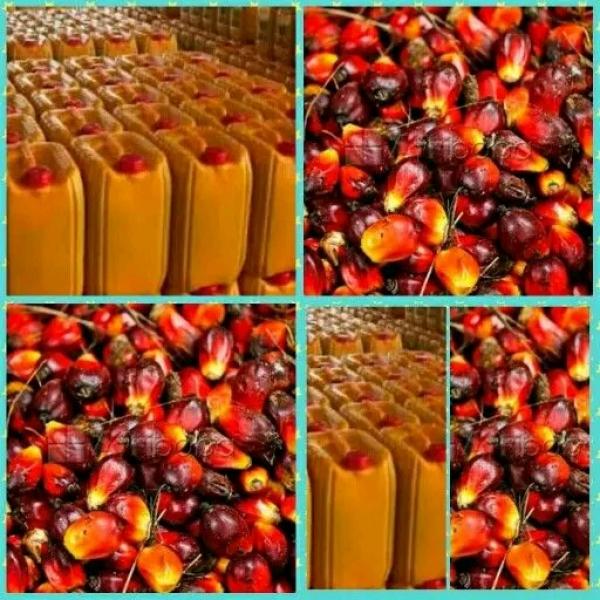  Besoin Des Clients - huiles vente d’huile rouge en gros vous recherchez de l’huile rouge de qualit&eacute; en grande quantit&eacute; ? nous mettons &agrave; votre disposition de l’huile rouge en gros pour les commer&ccedil;ants distributeurs industries agroalimentaires et exportateurs. produit de qualit&eacute; quantit&eacut
