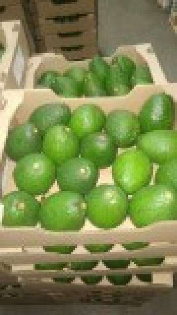  Les Professionnels De Cajou Ananas Avocat Man - fruits secs et graines grillées  nous sommes producteurs et vendeurs direct du benin nous avons une quantite importante de noix de cajou ananas avocat et mangue de tres bonnes qualites a prix tres tres competitifs veuillez nous faire un retour si vous etes interesses merci.
