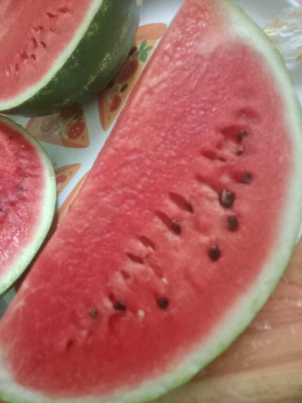  Pastèque De La Tunisie - fruits et légumes past&egrave;que sentinel &agrave; 0.3€/kg quantit&eacute; disponible emballage selon client meilleure qualit&eacute; meilleur prix 