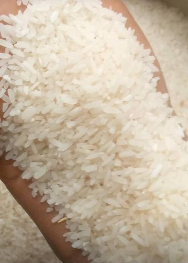  Riz En Culture Locale - céréales nous sommes des riziculteur togolais nous disposons des tonnes de riz cultiver &agrave; terre locale nous cherchons des preneurs grossiste 