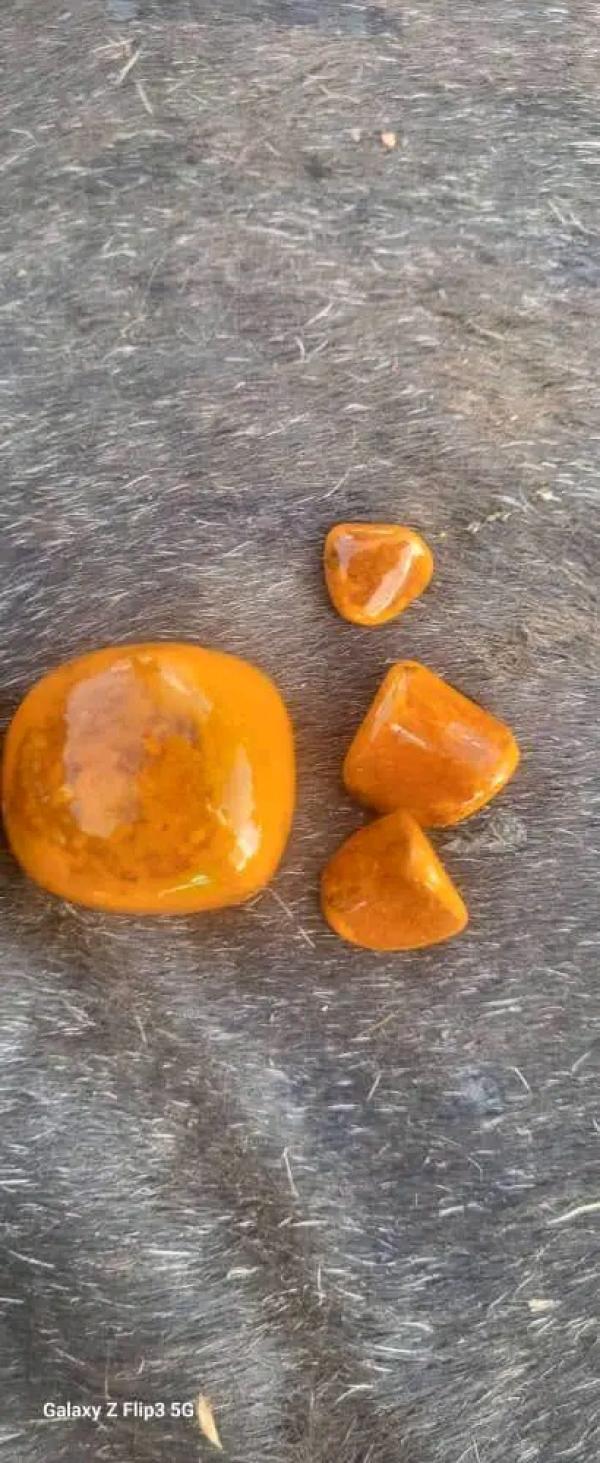  Calcul Vesticule Biliaires Cow Gallstones - matiere vegetale nous disposons de 3 kg de calcul vesticule biliaires provenant des boeufs bien conserv&eacute; enti&egrave;re et sans moisissure avec les r&egrave;gles de s&eacute;chage &agrave; l'ombre et les r&egrave;gles de conservation bien respecter id&eacute;al pour les industries pharmaceutiques et autres us