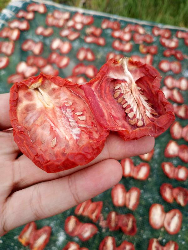 Tomates Séchées Au Soleil De Tunisie Pour Exp - fruits et légumes entreprise tunisienne sp&eacute;cialis&eacute;e dans l’export et la fourniture de produits agricoles avec un focus principal sur les tomates s&eacute;ch&eacute;es au soleil de haute qualit&eacute;. nous travaillons directement avec des producteurs locaux et des unit&eacute;s de transformation afin 