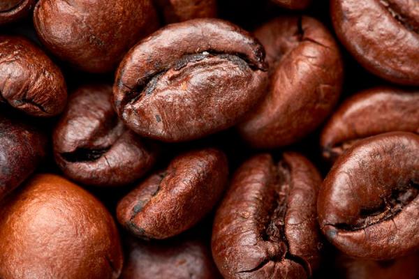  Arabica Coffee And Robusta Cocoa Bean - café cacao thé direct from producer. export ready. fob douala. robusta coffee grade 1 screen 18 crop 2025/2026 moisture   13% defects   5% quantity mt available[500] packing 60kg jute bags price $[xxx]/mt fob douala arabica coffee grade 1 washed bamenda highlands screen 15+ cup