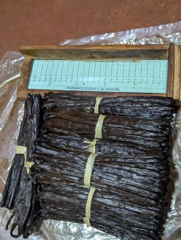  Fournisseur De La Vanille - épices aromates vanille de madagascar tk noir 14cm &agrave; 17cm vanille bourbon. 20cm &agrave; 27cm vanille mexique pr&egrave;s &agrave; exporter .disponible &agrave; tananarive. je peux envoyer en petit quantit&eacute; vers l ext&eacute;rieur 