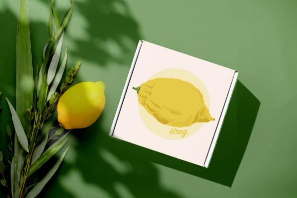 Etrog Du Maroc - fruits et légumes est connu sous le nom de est cultive dans 3 pays dont le maroc nous disposons d une qty importante en periode de saison qui sera cette annee en aout nous vous invitons a visiter nos plantations une fois arrive au sud agadir si vous etes revendeurs prenez a travers espace agro
