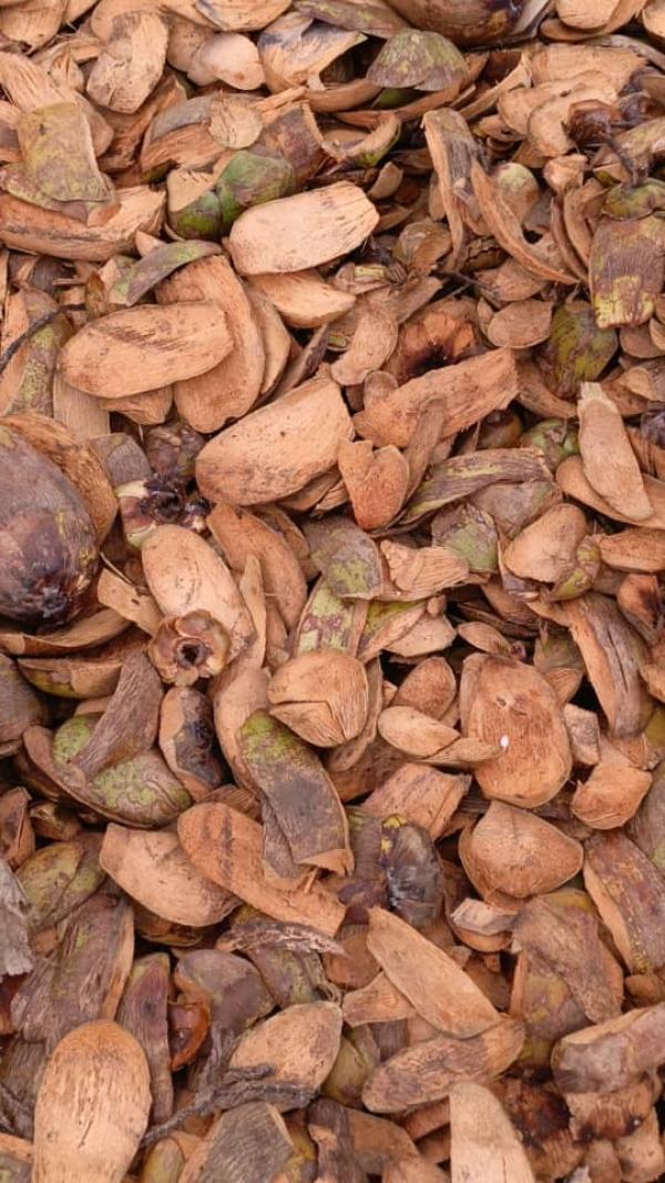  Agri Fruits Et Legumes - fruits secs et graines grillées nous sommes une entreprise sp&eacute;cialis&eacute;e dans l identification la collecte le conditionnement la vente et l exportation des fruits et l&eacute;gumes de qualit&eacute;. en consid&eacute;rant les aspects li&eacute;s &agrave; quelques avantages potentiels envisag&eacute;s nous pourro