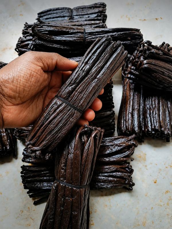  La Vanille De Madagascar/vanille Bourbon - épices aromates  origine antalaha   sava   madagascar export vers tous les pays selon les exigences des clients. contactez nous pour recevoir notre offre les photos les sp&eacute;cifications techniques et un devis personnalis&eacute;.