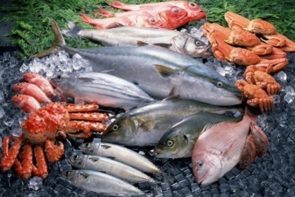  Poissons Maroc: Chinchards, Maquereaux,... - poissons poissons chinchards maquereaux sardines sardinelles bonite anchois etc prets &agrave; livrer partout. conditions de paiement 30% d'avance et le reste contre bl