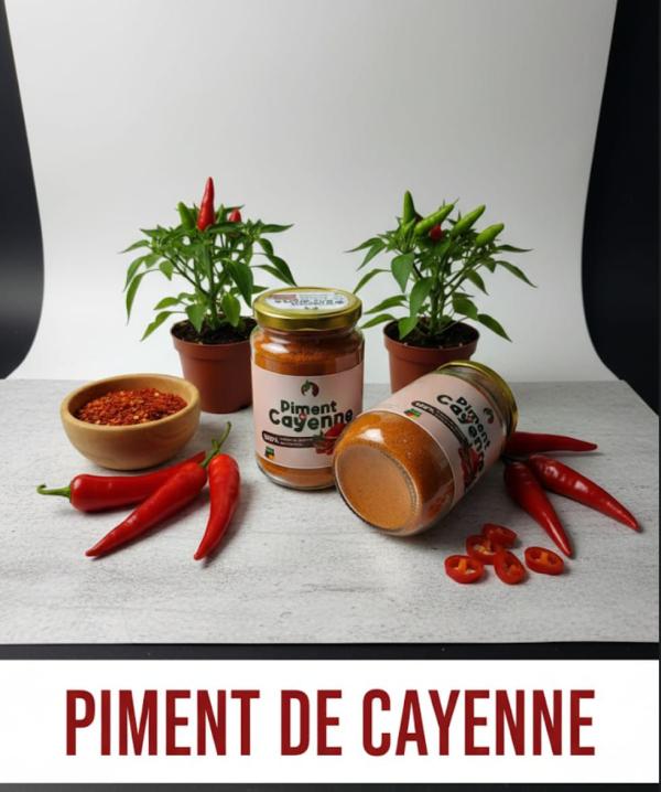  Gombos Sèche, Piment De Cayenne, Poivre Blanc - fruits secs et graines grillées  la soci&eacute;t&eacute; met en vente 1 tonne de gombo s&eacute;ch&eacute; et 2 tonnes de piment de cayenne s&eacute;ch&eacute;. nos produits sont propres bien s&eacute;ch&eacute;s en poudre et conditionn&eacute;s en paquets de 1 kg prets &agrave; l export et &agrave; la consommation.