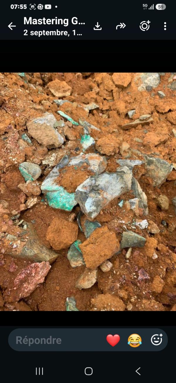  Cherche Investisseurs Dans Mine De Nickel - Investissement capitaux  nous recherchons futurs investisseurs pour rachat de parts dans une mine de nickel &agrave; noum&eacute;a ( ile fran&ccedil;aise ); le site dispose de tous les titres de propri&eacute;t&eacute; et est en activit&eacute; depuis une trentaine d ' ann&eacute;es . l actuel propri&eacute;taire 