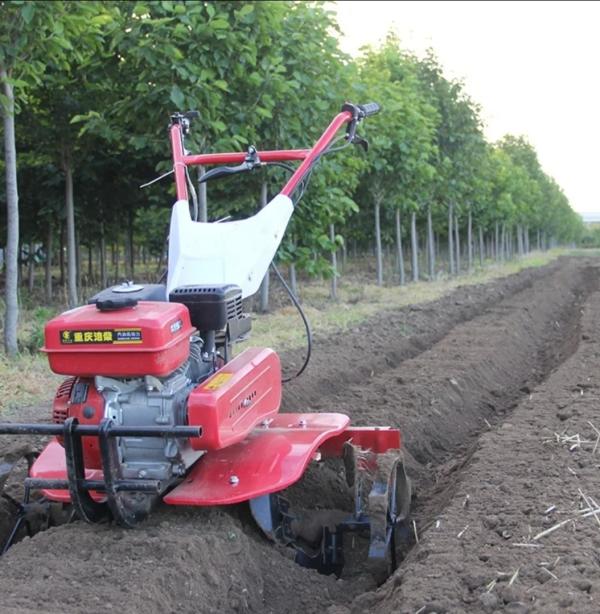  Motoculteur - matériels machines je recherche un motoculteur pour divers travaux agricoles. pour l'ajouter preparer le sol e  vue de planter divers l&eacute;gumes et plantes 