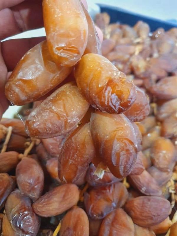  Tunise - fruits et légumes je cherche des client de dattes tunisie branche ou deny je suis de kebili ou il trouve la plus belle dattes du monde vous etes le bienvenu
