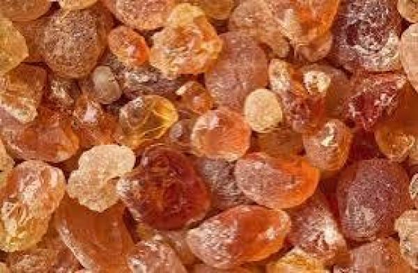  Gomme Arabique Naturelle Qualité Export - horticulture plante biocarburant propose de la gomme arabique naturelle de haute qualit&eacute; origine tchad destin&eacute;e aux importateurs grossistes et industriels. notre gomme arabique est soigneusement s&eacute;lectionn&eacute;e pour r&eacute;pondre aux exigences du march&eacute; international. disponible en grandes quant