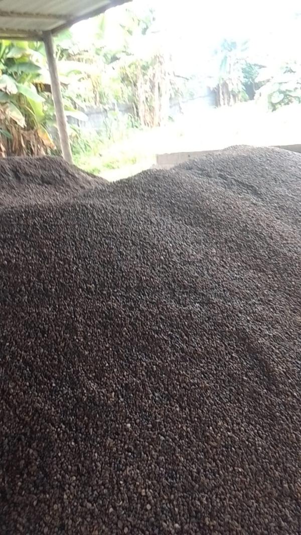  Vente De Coques De Palmiste - autres les coques de palmiste sont les r&eacute;sidus solides obtenus apr&egrave;s le concassage des noix de palmiste et l'extraction de l'amande (le palmiste). longtemps consid&eacute;r&eacute;es comme un simple d&eacute;chet agricole elles sont aujourd'hui pleinement valoris&eacute;es dans le cadre de