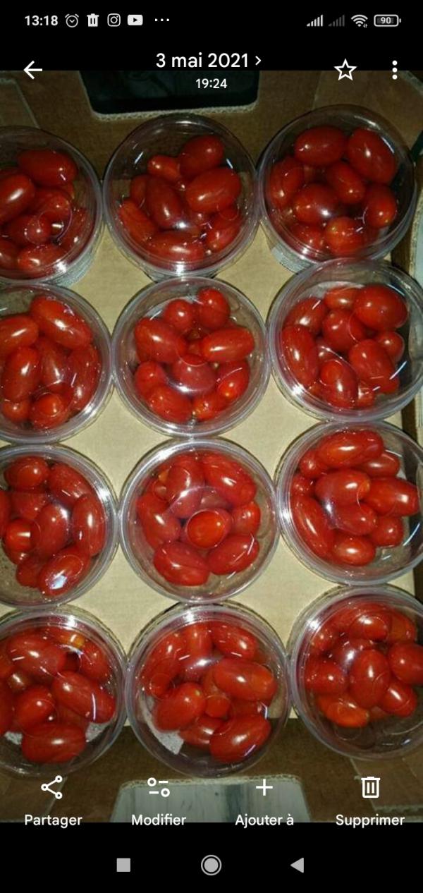  Tomate Cerise - fruits et légumes soci&eacute;t&eacute; d'exportation met &agrave; votre disposition des tomates cerise origine du maroc. pour tout renseignement suppl&eacute;mentaire contacter moi cordialement 