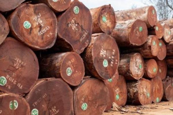  Timber - wood charcoal fiber  i am a broker selling timber worldwide for companies.interested contact me for more information and order placement. shipping available worldwide!. 