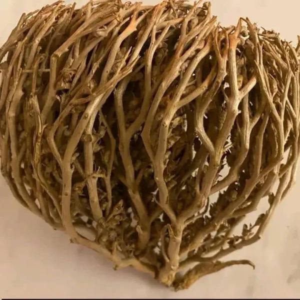  Feuilles De Djéka Et Rose Jéricho - hygiene entretien nous disposons des plantes naturelles tel que les feuilles de dj&eacute;ka roche j&eacute;richo de la poudre de nep nep ainsi que la poudre d'amla disponible en gros et d&eacute;tails. 