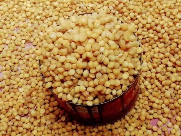  Graines D'akpi - épices aromates nous disposons d'une grande quantit&eacute; des graines d'akpi de tr&egrave;s bonnes conservation le prix est de 2300 fcfa/ kg avec exp&eacute;dition possible partout dans un d&eacute;lai raisonnable. 
