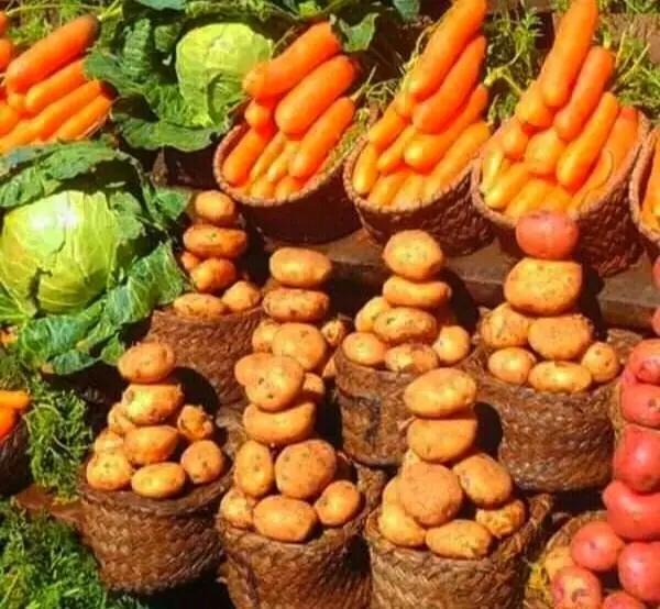  Produits Venant De Madagascar - fruits et légumes  je recherche des clients int&eacute;ress&eacute;s par l'achat de l&eacute;gumes et de fruits frais de bonne qualit&eacute; l&eacute;gumes pomme de terre carotte haricots verts tomate oignon fruits pomme poire les quantit&eacute;s disponibles s'adaptent &agrave; votre demande 