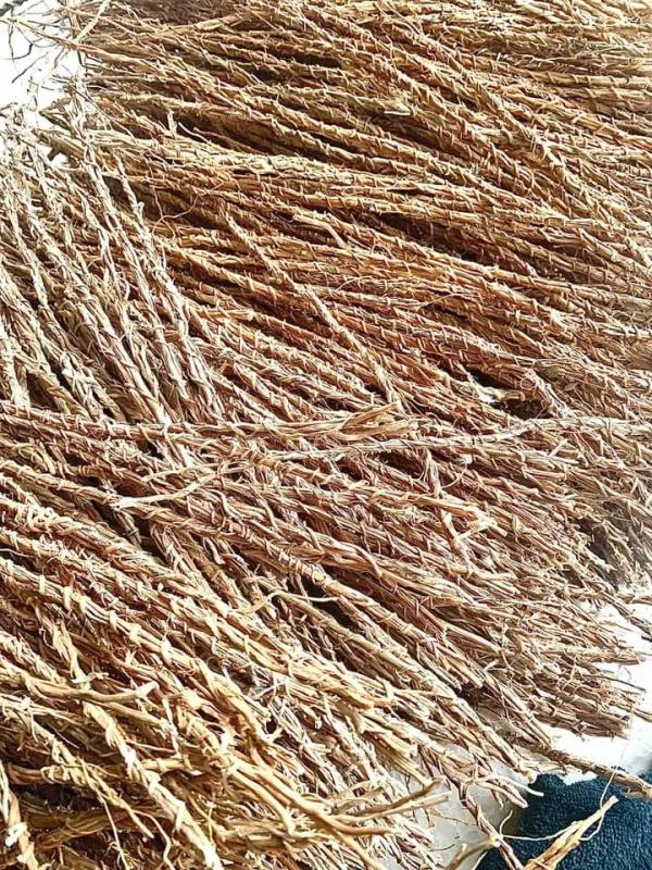  Racine Se Vétiver - épices aromates nous mettons en vente une grande quantit&eacute; des racines de khamar&eacute; soigneusement tri&eacute;s bien nettoyer et bien conserv&eacute;. cette plante traditionnelle est un alli&eacute; naturel pour le bien etre f&eacute;minin. disponible en gros et d&eacute;tails pour les revendeurs et expor