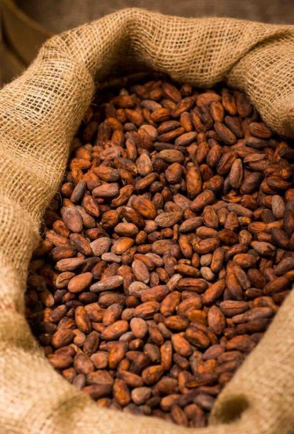  Pâte De Cacao - café cacao thé p&acirc;te de cacao 100 % pure fabrication artisanale qualit&eacute; export. disponible en gros et demi gros. id&eacute;ale pour chocolatiers p&acirc;tissiers et transformateurs. exp&eacute;dition rapide &agrave; l'international. tarifs comp&eacute;titifs commande d&egrave;s maintenant !