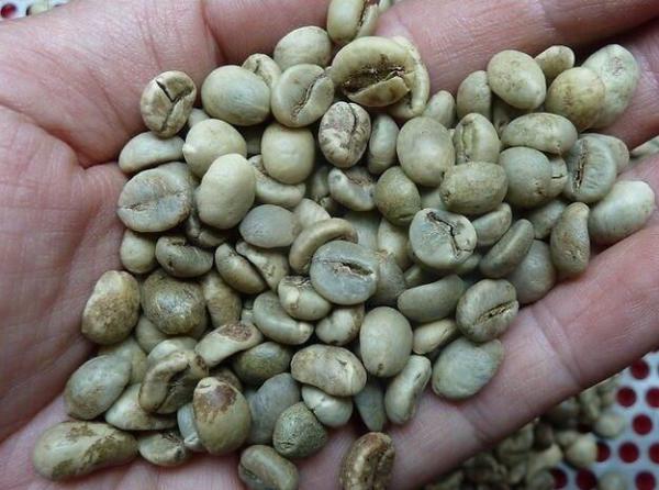  Cooffee Beans - coffee cocoa tea greetings. we are pleased to provide our quotation details for coffee products as below product name coffee moq 50 mt price arabica 4000 usd /mt robusta 2500 usd / mt packing 50 kg bag trade terms cif payment terms t/t port of loading dar es salam tanzania tz (dar) please feel free to us if you ne