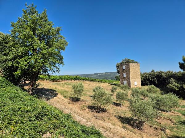  Vin Français En Déstockage Vaucluse - vins suite &agrave; un changement de propri&eacute;taire de notre domaine nous cherchons &agrave; &eacute;couler rapidement un stock important de vin bouteille issu de l'ancienne exploitation avant le lancement de nos nouvelles cuv&eacute;es sous nouvelle &eacute;tiquette. 8 r&eacute;f&eacute;