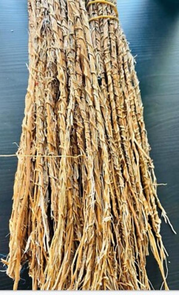  Vente De Vetivier/khamare/gongoli En Gros - autres  nous disposons de bonne qualit&eacute; de tiges de khamare/vetivier sur paris. nous vendons au prix de gros &agrave; 10   les bottes de 100 tiges. n'h&eacute;sitez pas &agrave; nous contacter en cas de besoin. bien cordialement &agrave; vous 
