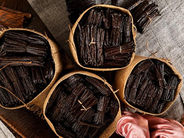  La Vanille De Madagascar/vanille Bourbon - autres origine antalaha   sava   madagascar export vers tous les pays selon les exigences des clients. contactez nous pour recevoir notre offre les photos les sp&eacute;cifications techniques et un devis personnalis&eacute;. 70 euro international / tous pays. par fret a&eacute;rien ou mariti