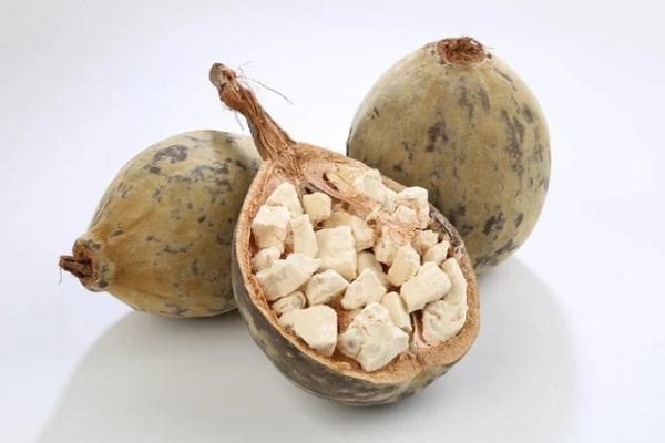  Vente De Fruit De Baobab Du Sénégal Premium - fruits secs et graines grillées nous proposons du fruit de baobab (pain de singe ou bouye) en provenance du s&eacute;n&eacute;gal r&eacute;colt&eacute; naturellement et soigneusement tri&eacute;. notre produit est riche en vitamine c calcium fibres et antioxydants. il est destin&eacute; aux importateurs grossistes transformat