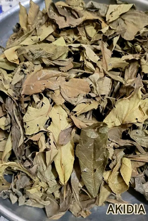  Feuilles De Kinkeliba - épices aromates nous disposons la qualit&eacute; id&eacute;al des feuilles de kinkeliba bien conserv&eacute; pour le march&eacute; national et international. le prix est de 800 fcfa/ kg . commande minimale 50 kg.