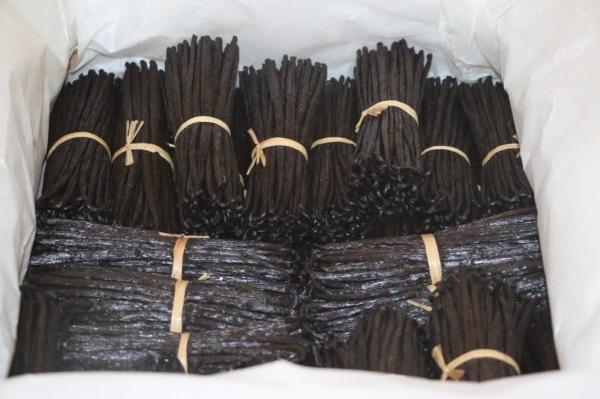  Organic Madagascar Vanilla Beans - aromatic spices we are vanilla beans exporter from madagascar offer organic vanilla beans such as gourmet grade a vanilla beans vanilla beans grade b vanilla powder vanilla seeds the price are not same according the grade but they are bourbon vanilla beans as planifolia per scientific name you can contact us di